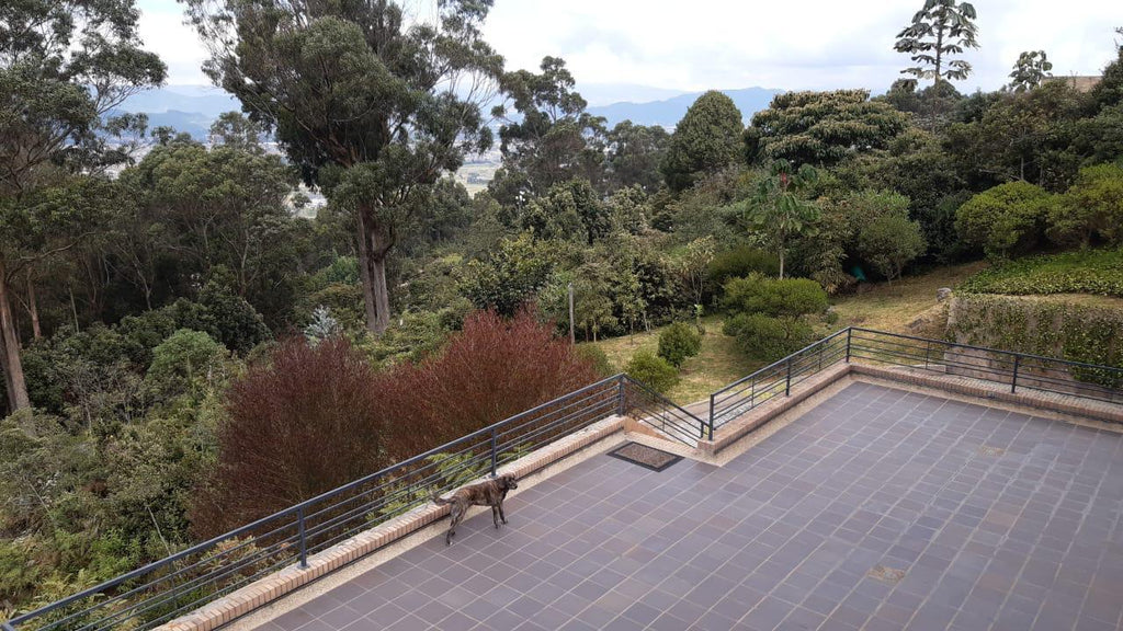 Casa Portal de Fusca | Residencia de Lujo 687 m² — Venta, Bogotá