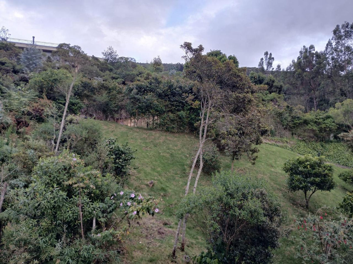 Casa Portal de Fusca | Residencia Premium 819 m² — Venta, Bogotá